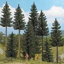 Busch 6391 Fichten-Wald H0 Spur