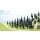 Busch 6492 35 Tannen H0 Spur