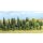 Busch 6589 Mischwald N/TT/Z Spur