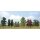 Busch 6946 2 Birken  (115) H0 Spur