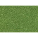 Busch 7042 Micro-Streupulver maigrün 40g