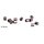 Tillig B 08876 Kohlebuersten, rund (10 Stueck) Massstab: TT