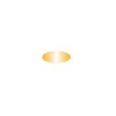 ITALERI 510004671 IT Acrylfarbe Gold glänzend 20ml