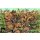 ITALERI 510006057 1:72 WW2 Russische Infanterie