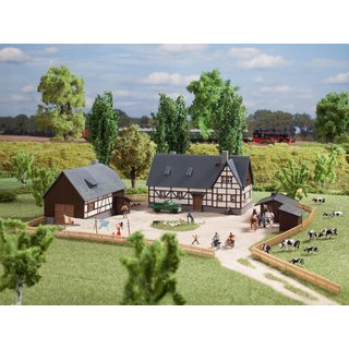 Auhagen 14465 Gehöft  Spur N