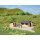 Auhagen 14474 Schuppen  Spur N