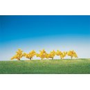 Faller 181475 6 Forsythien, gelb blühend...