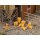 Faller 272906 40 Kisten Spur: N