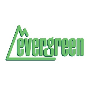 Evergreen 504188 Strukturplatte, 1x150x300 mm.Raster 4,80 mm, 1 Stück