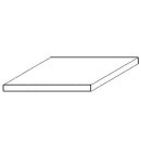 Evergreen 509005 Durchsichtige Polystyrolplatte,...