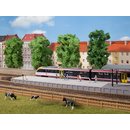Auhagen 41634 Bahnsteig ohne Überdachung  Spur H0