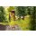 Noch 12045 Im Wald Massstab: