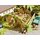 Vollmer 43861 H0 Deko-Set Friedhof