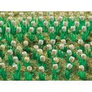 Vollmer 45125 H0 Tulpen weiß, 120 Stück