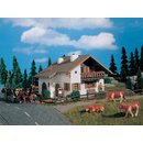 Vollmer 49251 H0 Haus Wiesengrund, Start un